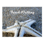 Starfish Wedding Postcard