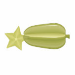 starfruit photo sculptures
