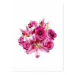 Stargazer Lilies and Roses Post Cards