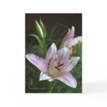 Stargazer Lily Bouquet Card