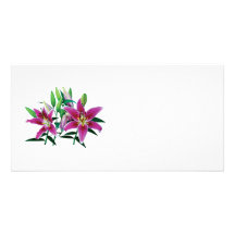 Stargazer Lily Family Custom Photo Card