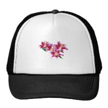 Stargazer Lily Heart Hats