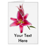 Stargazer Lily Spray Card