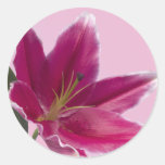 Stargazer Lily Sticker