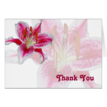 Stargazer Silhouette Thank You Card