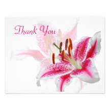 Stargazer Silhouette Thank You Card Personalized Announcement