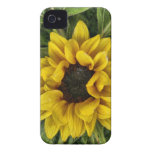 Staring at you... iPhone 4 Case-Mate cases