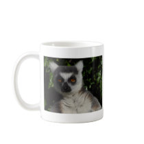 Staring Lemur mugs