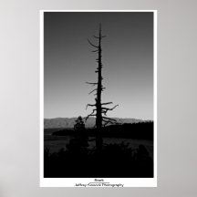 Stark Poster