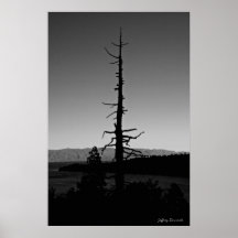 Stark Print