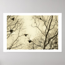 Starlings in winter print