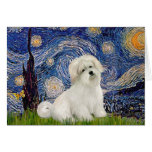 Starry Night - Coton de Tulear 7 Greeting Card