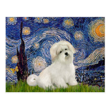 Starry Night - Coton de Tulear 7 Postcard