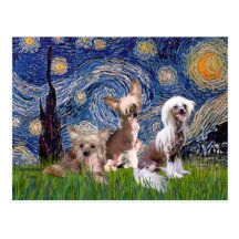 Starry Night - Three HL Chinese Cresteds Postcard