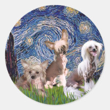 Starry Night - Three HL Chinese Cresteds Sticker
