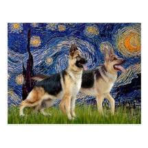Starry Night - Two German Shepherds Post Cards