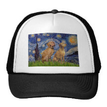 Starry Night - Two Vizslas Hats