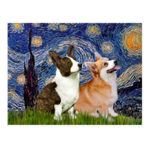 Starry Night - Two Welsh Corgis (C + P) Post Card