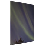 Stars and Stripes Canvas Print