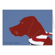 Stars and Stripes Card