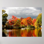 STARTING UNDER $20 - Autumn Storm Coming