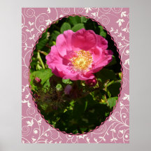 STARTING UNDER $20 - Bright Pink Rose Print