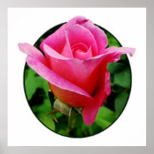 STARTING UNDER $20 - Dark Pink Rose Print