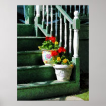 STARTING UNDER $20 -Geraniums and Pansies on Steps