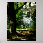 STARTING UNDER $20 - Porch Pot of Chrysanthemums Poster