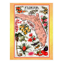 State Map of Florida (vintage reprint) Post Card