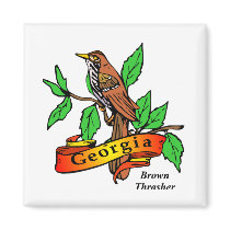 State of Georgia Gifts and Tees for Kids, Adults Magnets