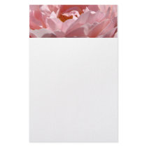 STATIONERY PINK Sunlit Rose Gift Daughters Moms