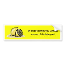 stay-out-of-the-baby-pool bumper sticker