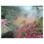 Steam pool in Bephu, Japan flyers