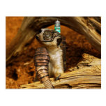 steampunk animal post card