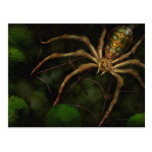 Steampunk - Insect - Arachnia Automata Post Cards