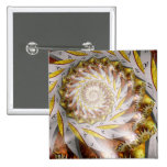 Steampunk - spirale - iris de temps badges
