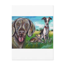 Steel, Fergie, & Rocket Post Cards