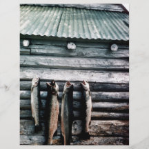 Steelhead Trout or Rainbow Trout Hanging on Side o Flyer