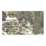 Steep Ravine trail Business Card Template
