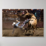 Steer rider takes a fall posters