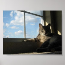 Stella by the Window Poster