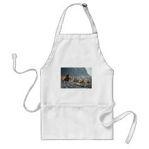 Stellar sea lions on Buldir Island Apron
