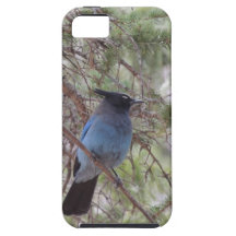 Stellars Jay iPhone 5 Cover