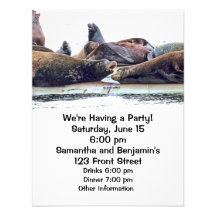 Steller Sea Lions Custom Announcements