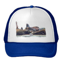 Steller Sea Lions Trucker Hats