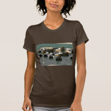 Steller's Eider Males and Females Tshirt