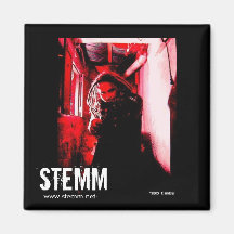 STEMM: Joe MAGNET