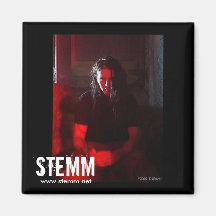 STEMM: Steve Magnet