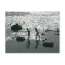 Stepping Stones Post Card